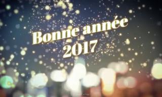 Meilleurs voeux 2017